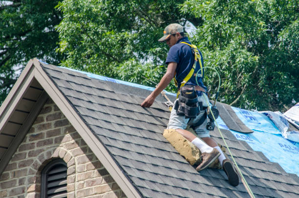 Best Gutter Installation and Roofing  in Fort Meade, MD